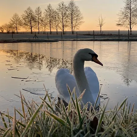 Bed & Breakfast Les De Ribeaufontaine