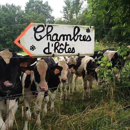 Couette-café Les De Ribeaufontaine