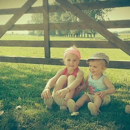 Couette-café Les De Ribeaufontaine 3*