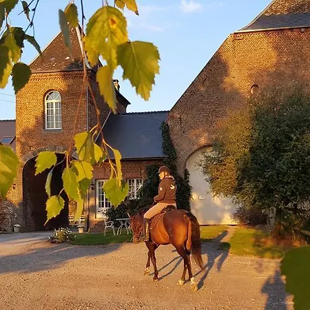 Les De Ribeaufontaine Dorengt