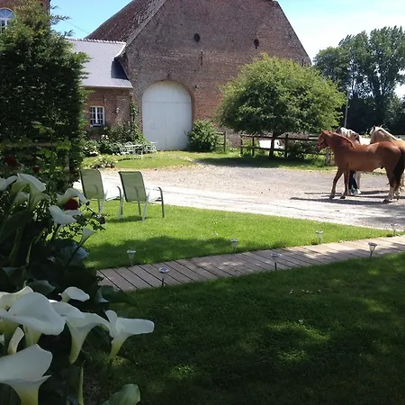 Les De Ribeaufontaine