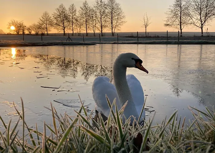 Bed & Breakfast Les De Ribeaufontaine