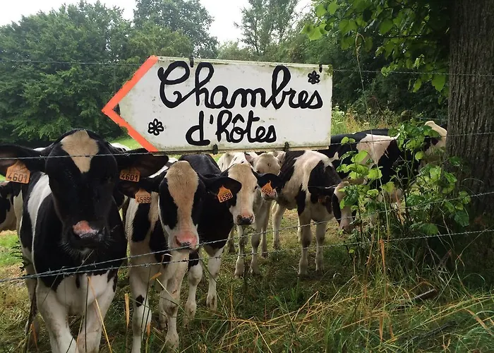 Bed & Breakfast Les De Ribeaufontaine