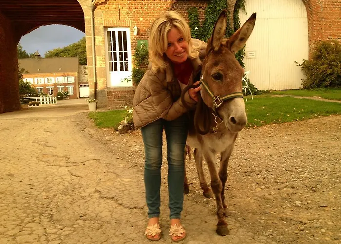 Les De Ribeaufontaine Bed & Breakfast