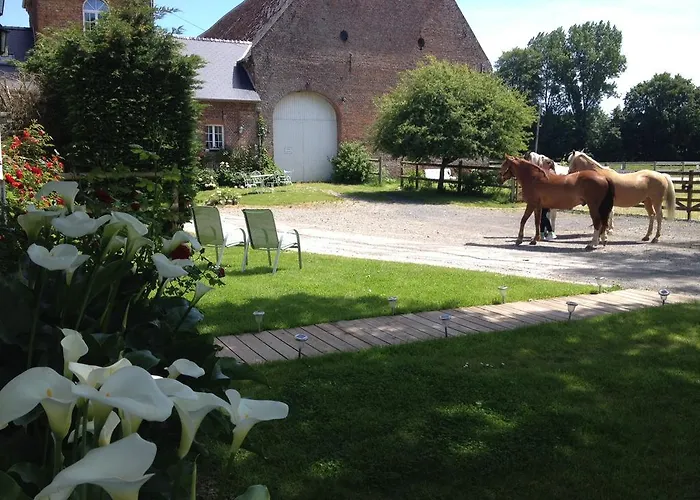 Les De Ribeaufontaine